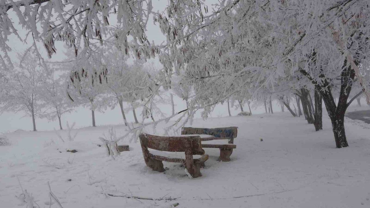 Bitlis’te yoğun sis