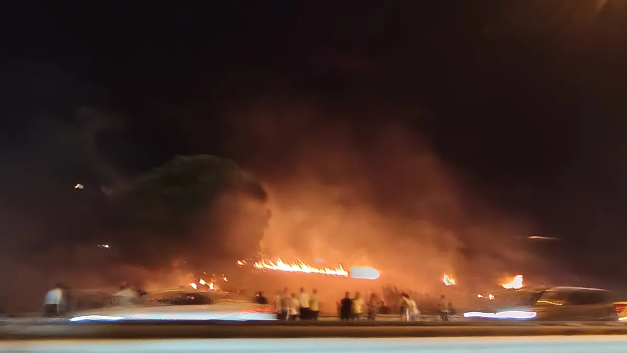 Bursa Mudanya Yolu'nda alevler yükseldi! Çağrışan'da yangın paniği!