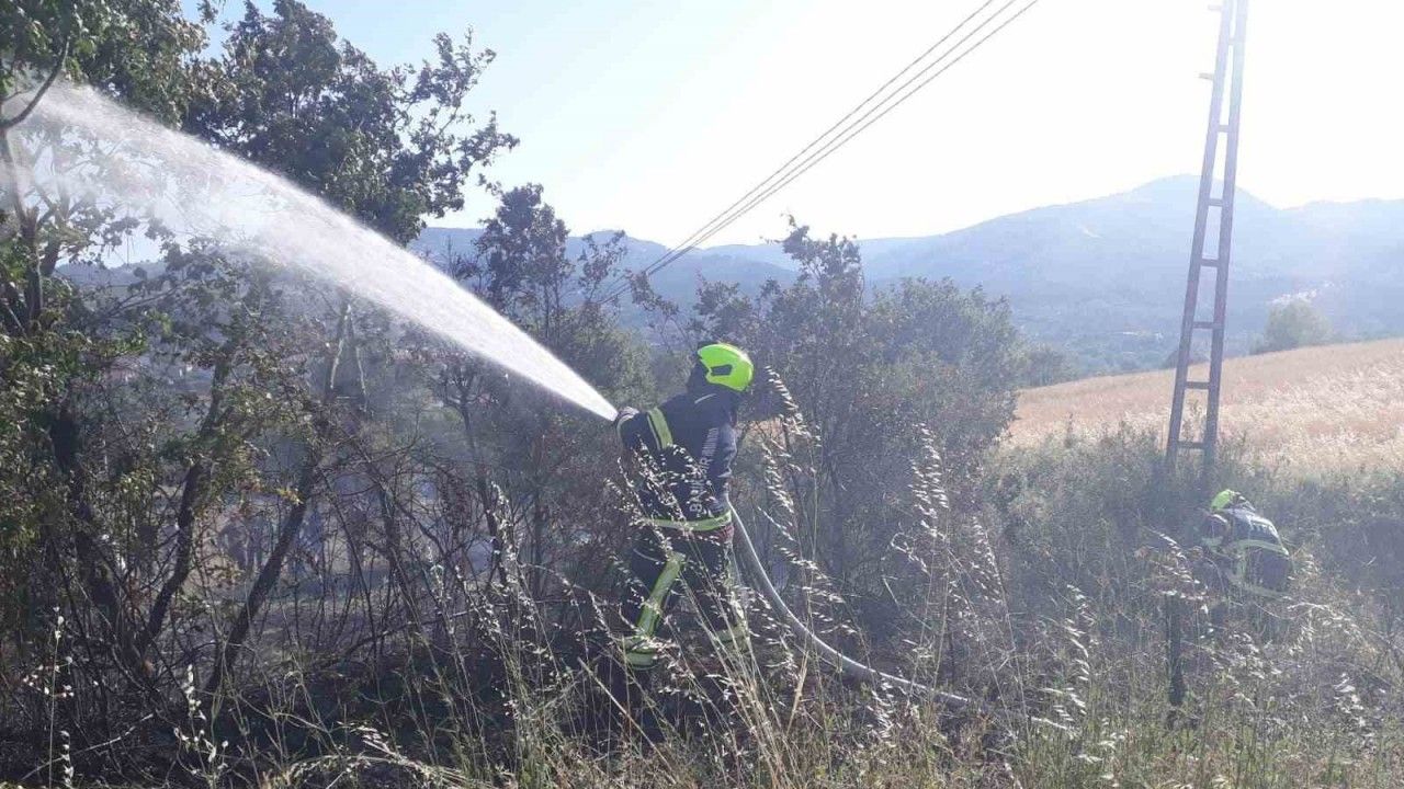 Balıkesir İtfaiyesi 9 günde 730 yangına müdahale etti