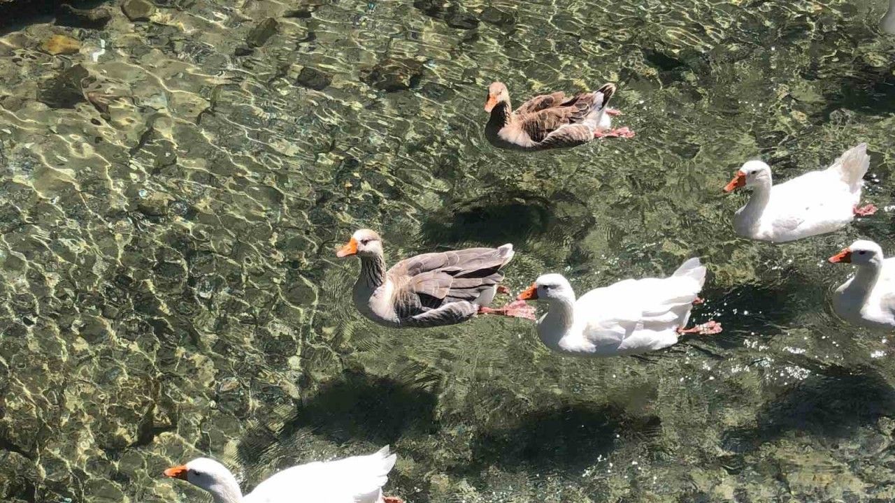 İnönü Havacılık Eğitim Merkezi’ndeki doğal güzellik