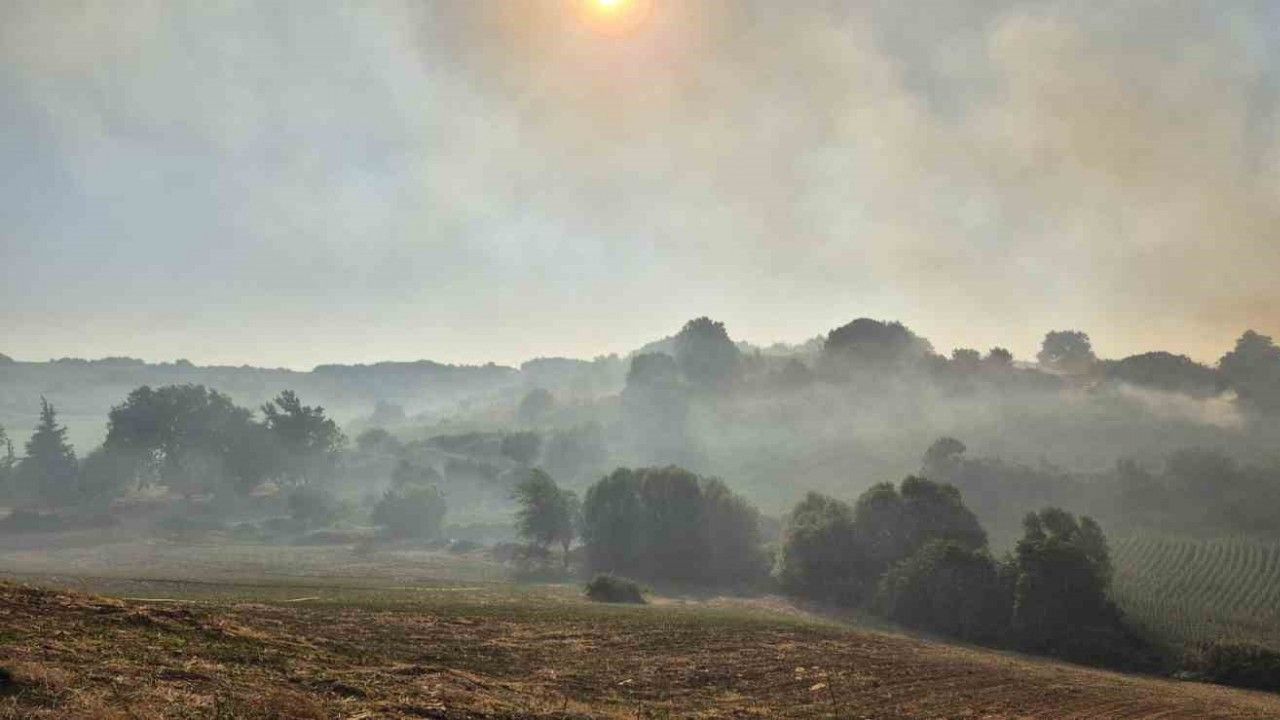 Susurluk Babaköy’de arazi yangını kontrol altına alındı