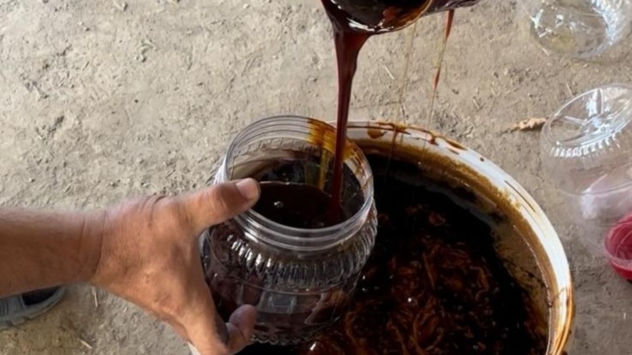 Tarım Müdürü Akar’dan kışa tatlı hazırlık