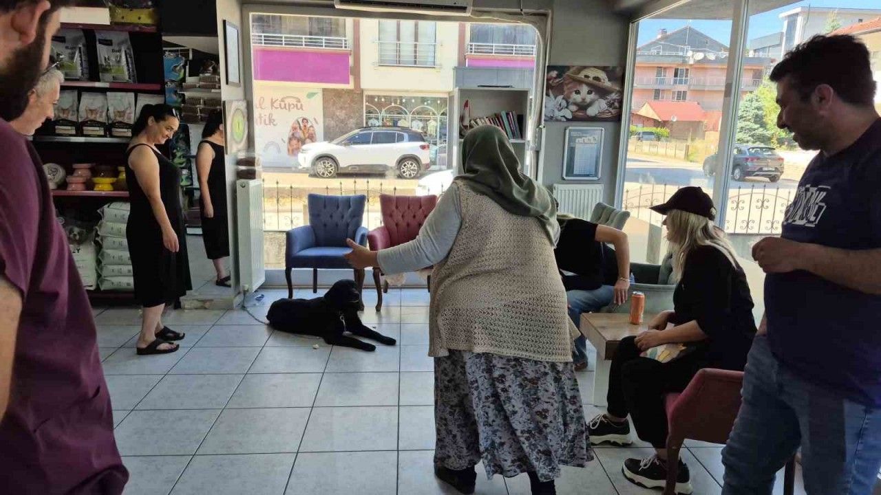 Bir yıl sonra "çip" sayesinde kavuştular