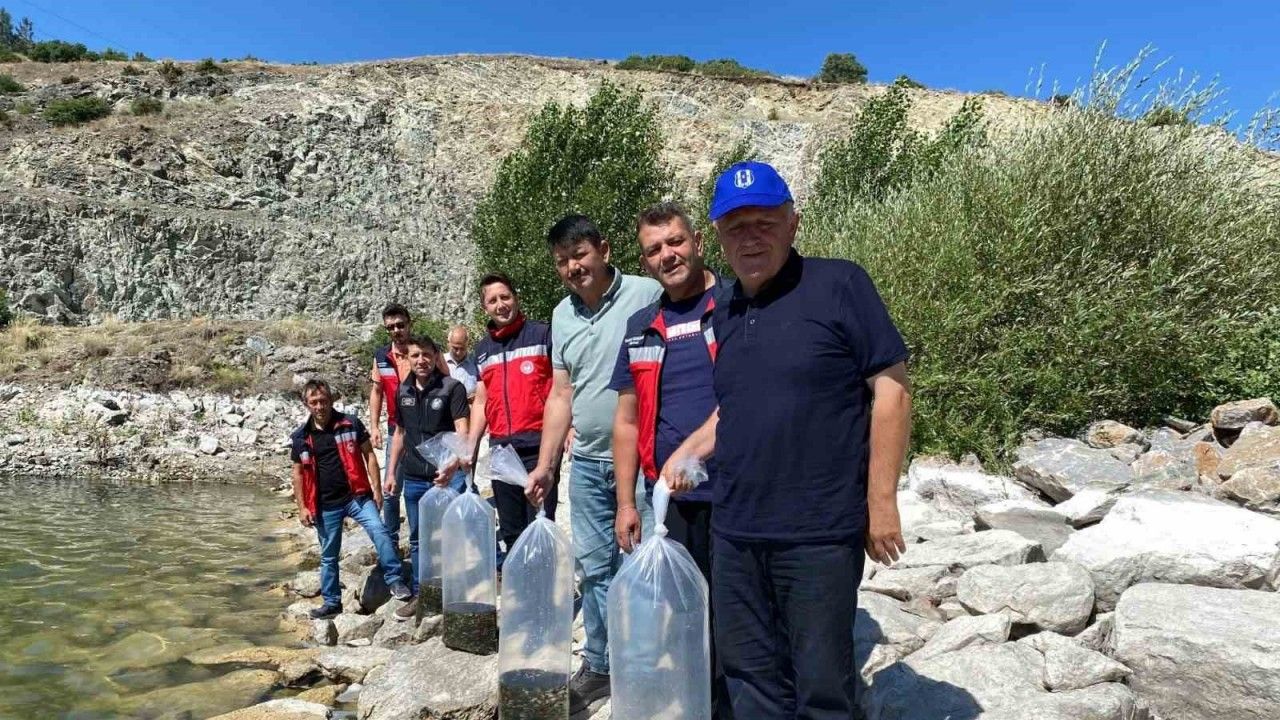 Tavşanlı’da 8 gölete binlerce yavru sazan bırakıldı