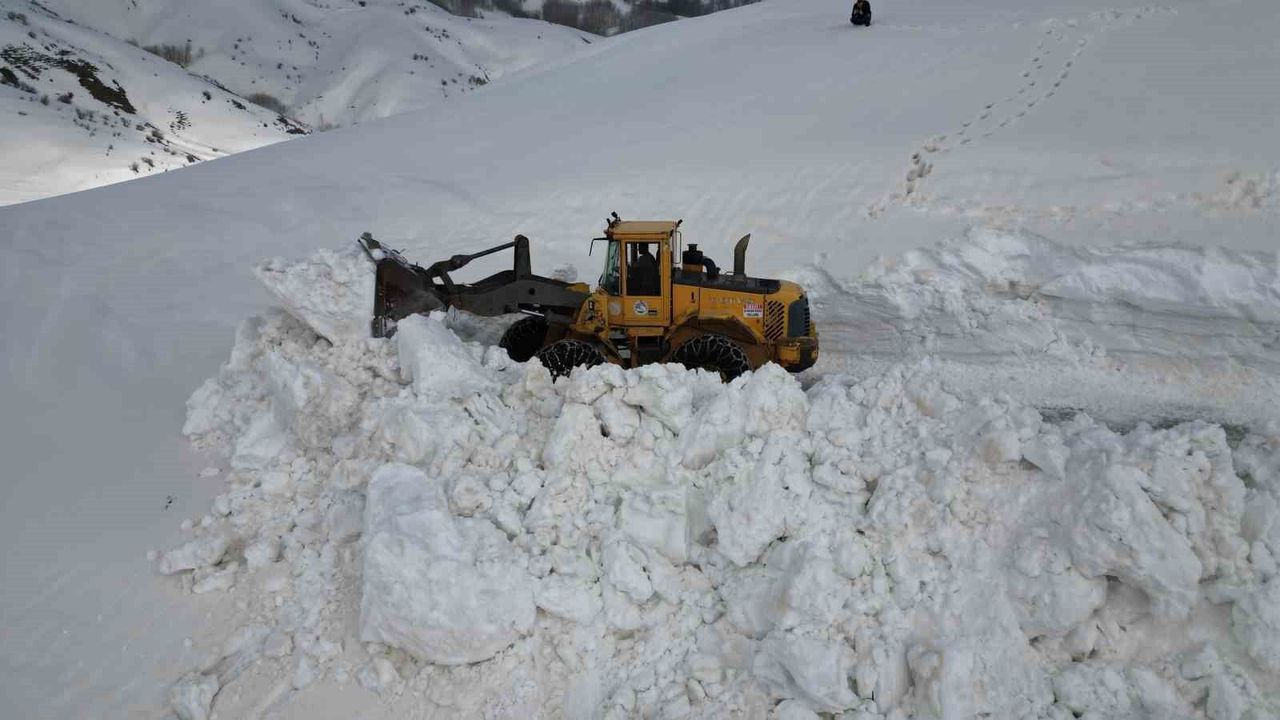 Bitlis'te 5 metreyi bulan karda yol açma çalışması