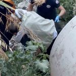 20 metrelik uçurumdan düştü, yaralıyı sırtında taşıyan itfaiyeci yürekleri ısıttı