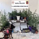 Jandarma ekiplerinin uyuşturucu ve sahte alkol denetimleri sürüyor