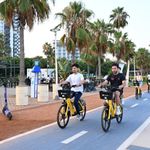 Mersin’de MERBİS Rüzgârı: 9 Ayda 150 Bini Aştı