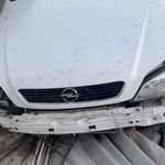 Kontrolden çıkan otomobil seraya yuvarlandı: 1 ölü