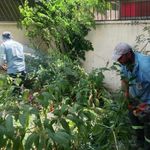 Mersin' de park ve yeşil alanlarda bakım çalışmaları sürüyor