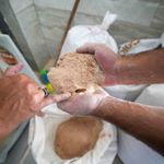 Un fabrikasında şoke eden görüntü: 30 ton böceklenmiş bozuk un ele geçirildi