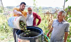 Belediyeden üreticilere ’ceviz soyma makinesi’ desteği