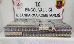 Bingöl’de kaçak kazı yapan 2 kişi yakalandı