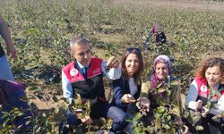 Erdek Kaymakamı Atasoy’dan Dünya Kadın Çiftçiler Günü Ziyareti