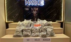 Gişelerde durdurulan tırda 10 kilo 400 gram skunk ele geçirildi