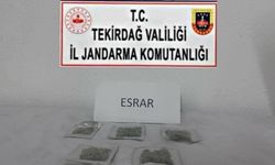 Tekirdağ’da uyuşturucu ve silah operasyonları: Çok sayıda suç unsuru ele geçirildi