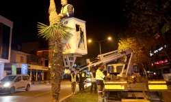 Sakarya'da palmiyelere dondurucu soğuklara karşı özel önlem