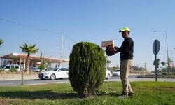 Adıyaman Belediyesi’nden kente estetik dokunuş