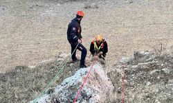 Muş’ta kayalıkta mahsur kalan keçiler kurtarıldı