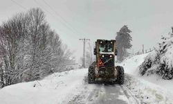 Ordu’da kar yağışı etkili oldu