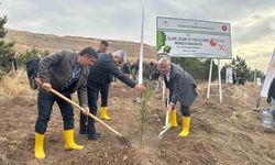 ÖSYM’nin 50’nci yılında, bin 500 fidan toprakla buluştu