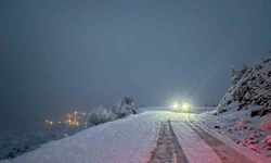 Siirt’te kar nedeniyle kapanan yollar açıldı