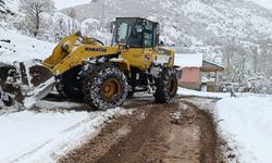 Şırnak’ta kar nedeniyle kapanan yolların bir kısmı ulaşıma açıldı