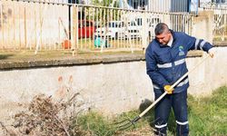 Çukurova’da temizlik seferberliği başlatıldı