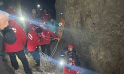 Hakkari’de arıcılık yapan adam dağdan düşerek hayatını kaybetti