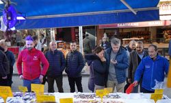 Karadeniz’in incisi hamsi, palamudun tacını geri aldı: Tezgahın gözdesi hamsi