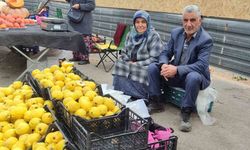 Kendi bahçesinde yetiştirdikleri ayvaları satarak 7 çocuk okuttular