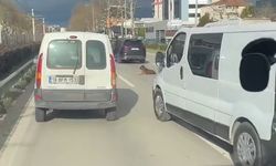 Köpeğin keyfi trafiğe kilitledi