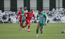 TFF 3. Lig: Kelkit Hürriyetspor: 0 - Çayelispor: 1