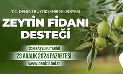 Zeytin fidanı desteği başvuru süresi uzatıldı