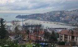 Zonguldak Limanı sarı renge boyandı