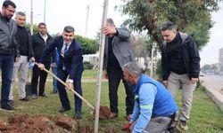 Başkan Vekili Şener, belediye çalışmalarını yerinde inceledi