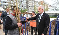 Isparta’da son 3 yılda 180 bin meyve fidanı toprakla buluştu