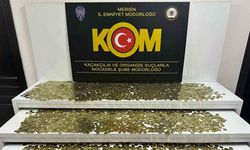 Sahte madeni euro operasyonunda bir şüpheli tutuklandı