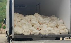 Sakarya’da son kullanma tarihi geçmiş 23 ton lor peyniri ele geçirildi