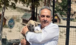 Kayseri Talas Pati Evi can dostlara yuva oluyor