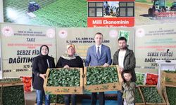 Ağrı’da 150 çiftçiye fide desteği