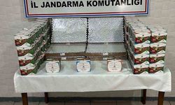 Ağrı’da jandarmadan kaçak botoks ilacı ve elektronik sigara operasyonu