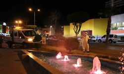 Alanya’da yeşil alanlarda zirai mücadele