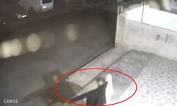 Apartmandaki motosikleti ve balkonda asılı ceketi çalan hırsız yakalandı