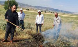 Araban Ovası’nda firik sezonu başladı