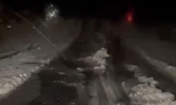 Ardahan’da dolu etkili oldu