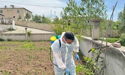 Aydıntepe’de yabancı ot mücadelesi başlatıldı