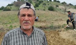 Bağlar elbirliğiyle belleniyor