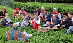 Bakan İbrahim Yumaklı: "Meteorolojik olayların çaya bizim korktuğumuz kadar bir etkisi olmadı"