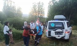 Bingöl’de otomobil uçuruma yuvarlandı: 2 yaralı